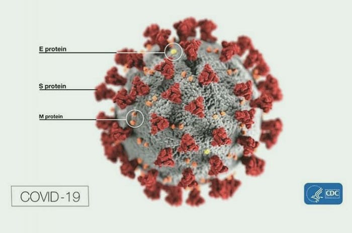 <p>Ilustrasi virus corona</p>
