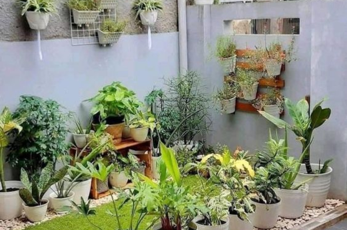 <p>Ket Foto: Contoh Taman Depan Rumah (Foto/Pinterest @temonggo)</p>
