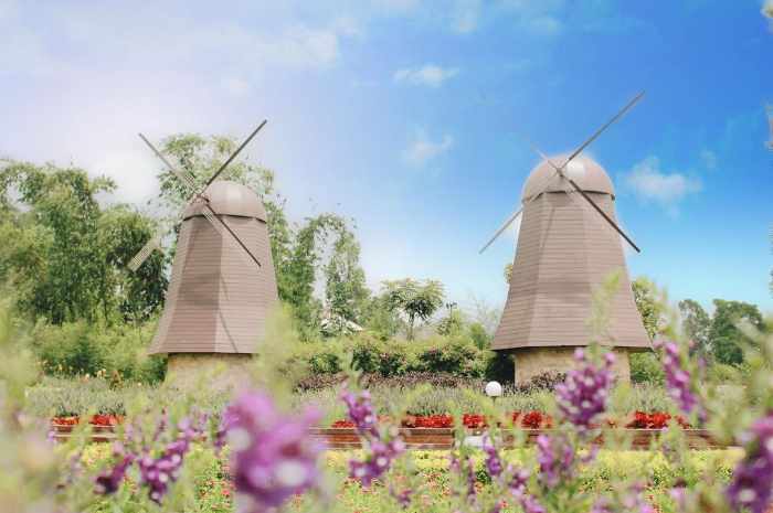 <p>Ket foto: Rekomendasi wisata yang ada di Bali, bikin betah dan nggak mau pulang (Foto/Instagram/thebloomsbali)</p>
