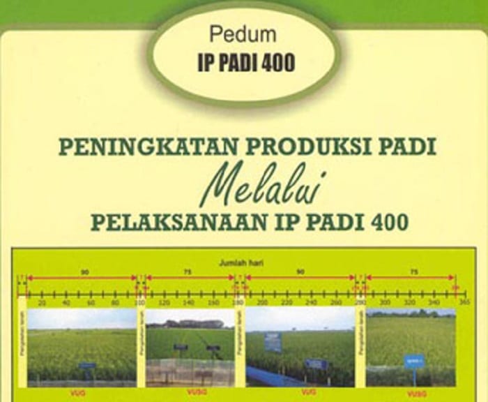 <p>5.500 Hektar Sawah di Parigi Moutong Uji Coba Program IP 400</p>
