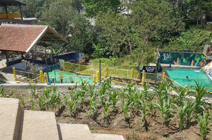 <p>Ket foto: Potret wisata Wande Kalireco di Malang Jawa Timur (Foto/Instagram/a_yyubu)</p>
