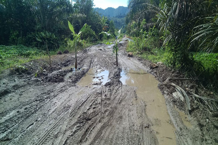 <p>Jalan Penghubung Desa Kakullasan Rusak Parah.</p>
