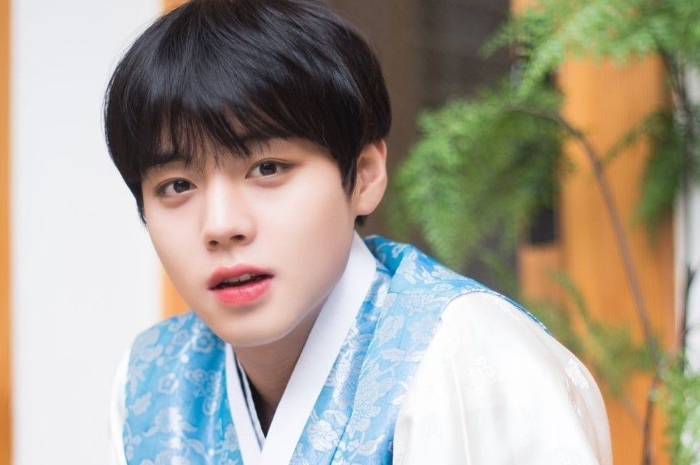 <p>Ket. Foto: Park Ji Hoon Dikabarkan Jadi Pemeran Utama Drama Fantasy Sonata (Foto/Pinterest)</p>
