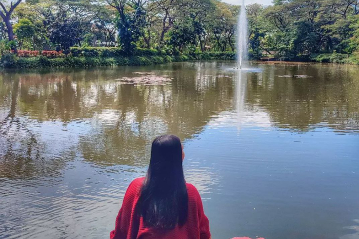<p>Ket foto: Spot estetik di wisata Kebun Bibit Wonorejo Jawa Timur (Foto/Instagram/jenny.ambarr)</p>
