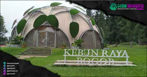 <p>Ket Foto: Kebun Raya Bogor. (Foto/Istimewa)</p>
