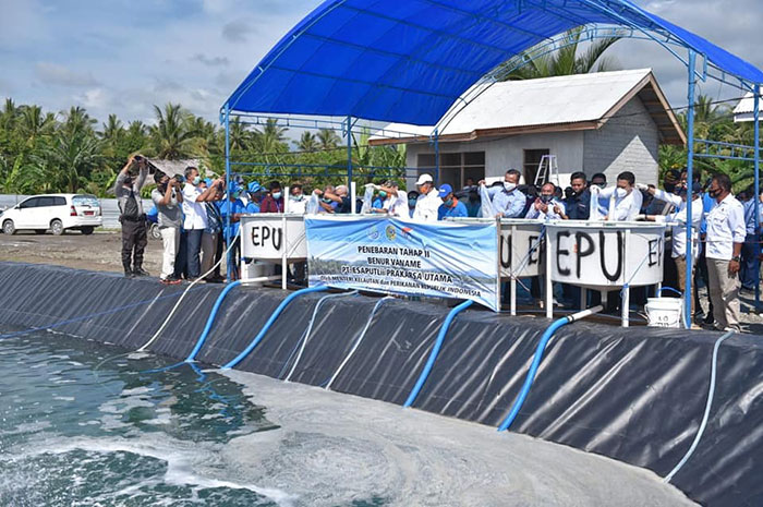<p>Kegiatan Menteri Kelautan dan Perikanan RI di Parigi Moutong</p>
