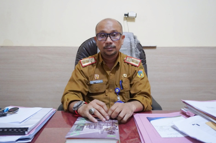 <p>Kepala Bidang Pemberdayaan dan Pengembangan Usaha Kecil Dinas Koperasi dan UMKM Sulteng Irfan (Foto/laman Pemprov Sulteng)</p>

