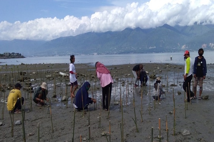 <p>Foto: Komunitas Mangrovers Kota Palu Sulteng tanam ribuan mangrove di Kota Palu, Senin 28 September 2020, GemasulawesiFoto/Rahmi)</p>
