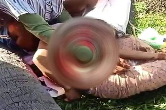 <p>Tertimpa Pohon Tumbang, Dua Orang Palasa Parimo Meninggal. Kejadian di Palasa, Jumat 17 Juli 2020.</p>
