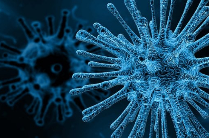 <p>Keterangan Foto : lima orang tewas akibat virus marburg di Tanzania,(Foto/Pixabay)</p>
