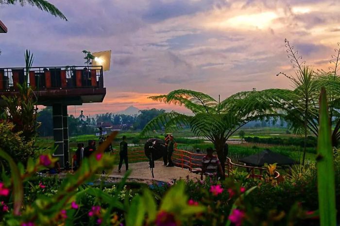 <p>Ket foto: Intip keindahan wisata kuliner Cafe Sawah Pujon Kidul, makan ditemani pemandangan gunung yang cantik (Foto/Instagram/cafesawah_pujonkidul)</p>
