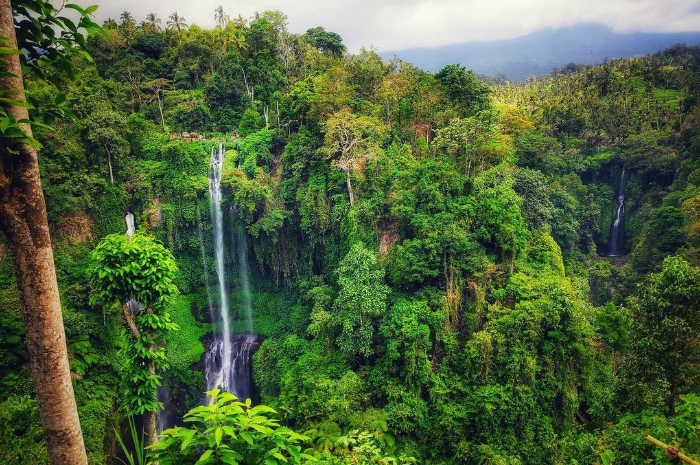 <p>Ket foto: Mengintip pesona wisata Air Terjun Sekumpul Bali di antara rimbunnya tanaman hijau (Foto/Instagram/jalanterus_makanterus)</p>
