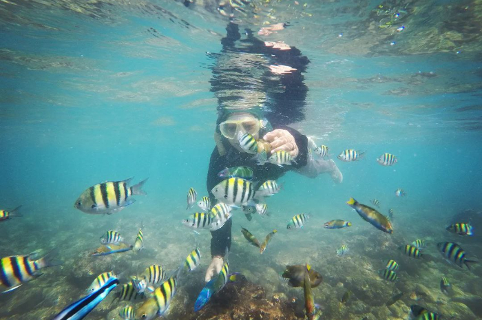 <p>Ket foto: Pesona keindahan alam bawah laut wisata Pantai Nglambor Yogyakarta (Foto/Instagram/pipo_veiva)</p>
