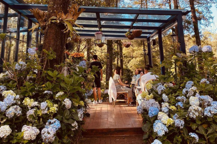 <p>Ket foto: Yuk mampir ke wisata Orchid Forest Cikole Bandung, rasakan sensasi jalan-jalan di rumah anggrek (Foto/Instagram/@orchidforestcikole)</p>
