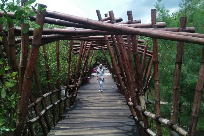 <p>Ket foto: Spot menarik di wisata Mangrove Wonorejo Surabaya Jawa Timur (Foto/Instagram/srifebri_1413)</p>
