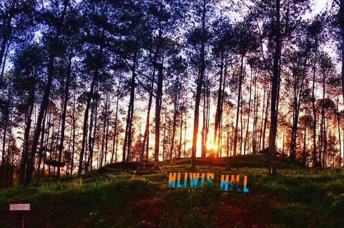 <p>Ket foto: Menelisik pesona wisata Mliwis Hill di Purworejo (Foto/Instagram/mliwishill)</p>
