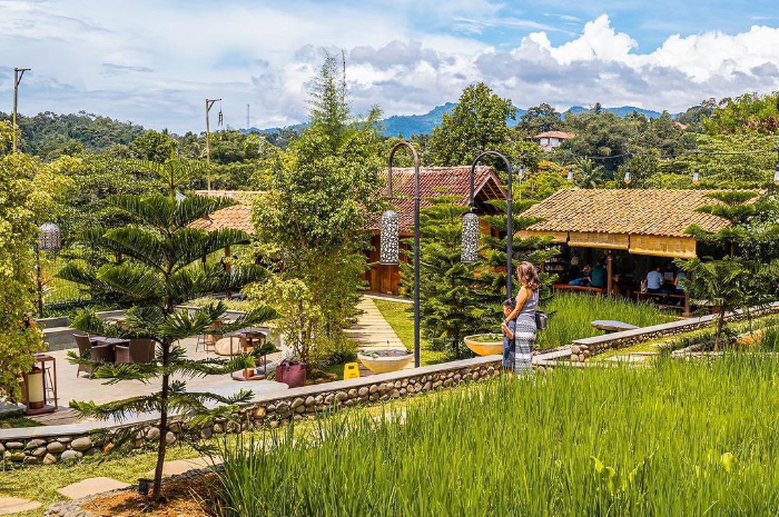 <p>Ket foto: Pemandangan di Ngopi di Sawah Bogor, banyak pilihan tempat duduk (Foto/Instagram/ngopidi.sawah)</p>
