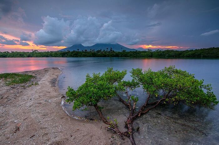 <p>Ket Foto: Ilustrasi foto Pantai Sejile Situbondo (Foto/Website resmi Pemkab Situbondo)</p>
