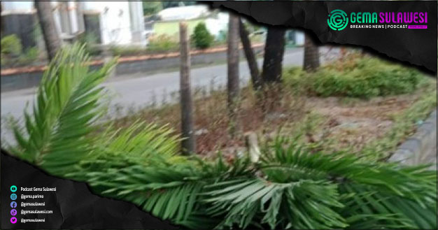 <p>Foto Istimewa</p>
