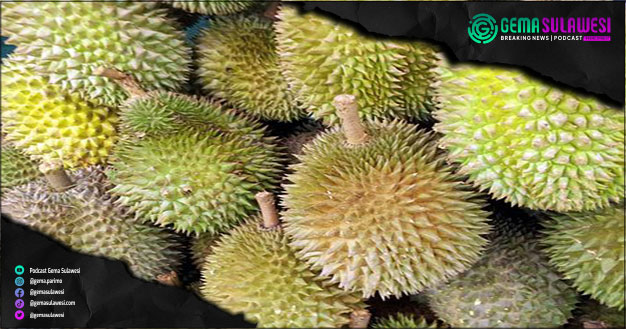 <p>Ket Foto: Pemda Parigi Moutong bakal gelar festival durian se-Asia (Ilustrasi Gambar/Pixabay)</p>
