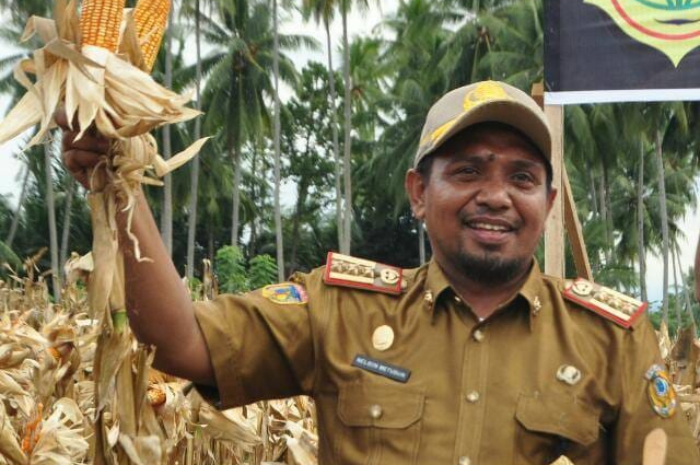 <p>Ket Foto: Kepala Dinas Tanaman Pangan dan Hortikultura (TPH) Sulteng Nelson Metubun.</p>

