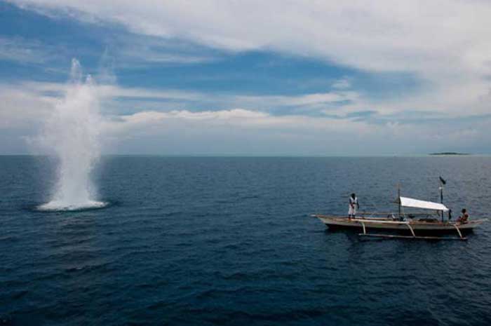 <p>Foto: Pengeboman Ikan</p>
