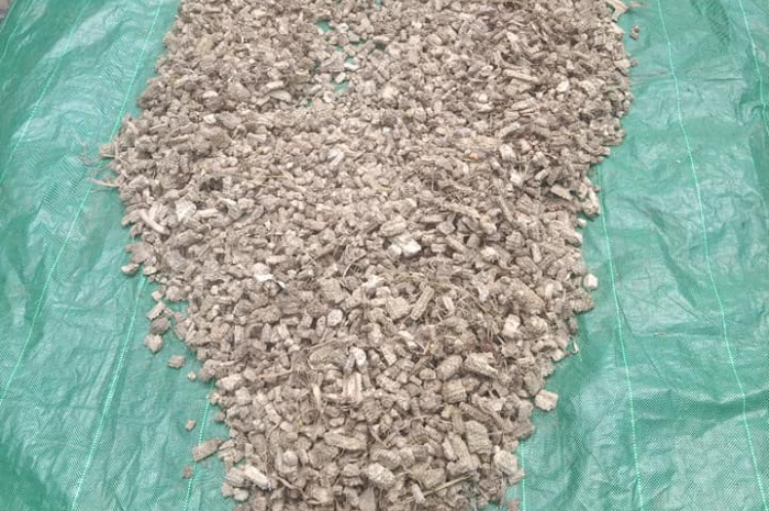 <p>Ket Foto: Bonggol jagung (Foto/Facebook Darul Farmm)</p>
