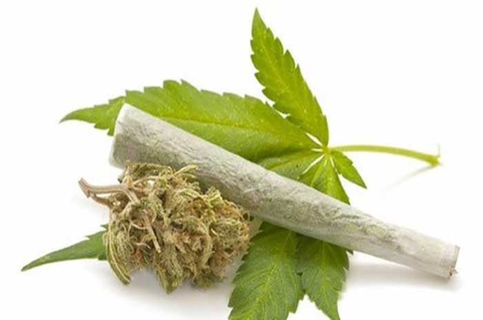 <p>Foto: Pengguna Ganja.</p>
