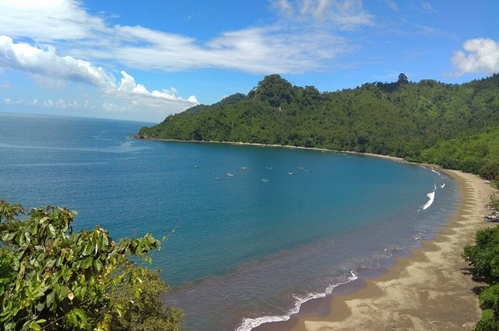 <p>Ket Foto: Ilustrasi foto pantai yang ada di Taman Nasional Meru Betiri (Foto/Google Maps/Andre Zefri Resdianto)</p>
