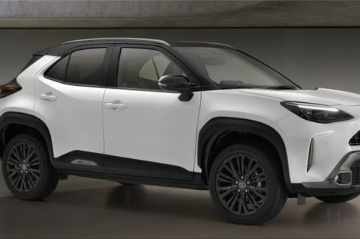 <p>Ket Foto: Yaris Cross Hybrid (Pinterest/@electrichunter)</p>