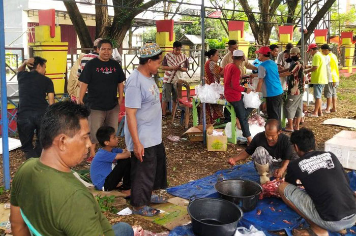 <p>Asosiasi Pedagang Pasar Sentral Parigi Moutong Qurban Enam Ekor Sapi</p>