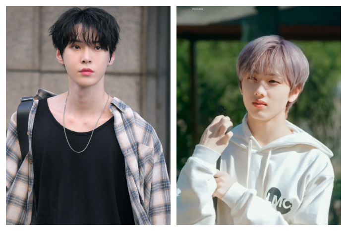 <p>Ket. Foto: Perbedaan ISFJ dan INFJ, MBTI yang Satu Suka Kenyataan dan yang Satu Suka Imajinasi; Doyoung dan Jisung NCT (Foto/Pinterest)</p>
