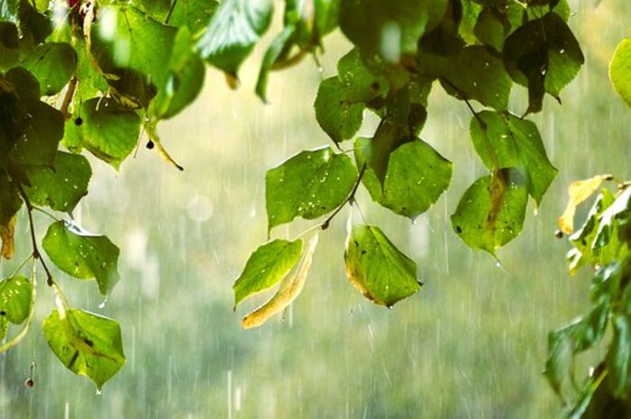 <p>Ket Foto: Ilustrasi foto hujan (Foto/Pixabay/Hujan)</p>
