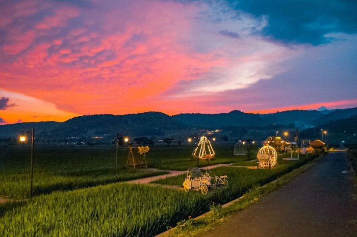 <p>Ket foto: Intip wisata di Yogyakarta yang cocok untuk mengisi libur Lebaran, view sawah bikin betah (Foto/Instagram/mahaloka_paradise)</p>
