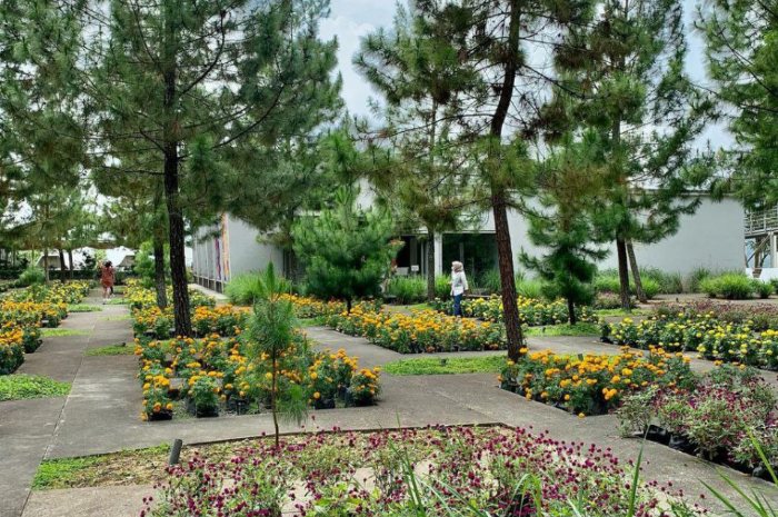 <p>Ket foto: Wisata Rumah Atsiri Tawangmangu suguhkan beragam fasilitas menarik dan seru (Foto/Instagram/@mascahyo23)</p>
