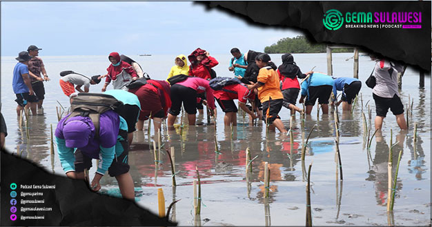 <p>Ket Foto: Kegiatan penanaman bibit bakau di Pantai Mosing 30 Agustus 2022 Ilustrasi Gambar (Foto/Prokopim)</p>

