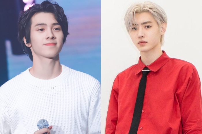 <p>Ket. Foto: Hendery NCT WayV dan Sunghoon Enhypen idol Kpop dengan Kepribadian ENTP dan ISTJ (Foto/Pinterest)</p>
