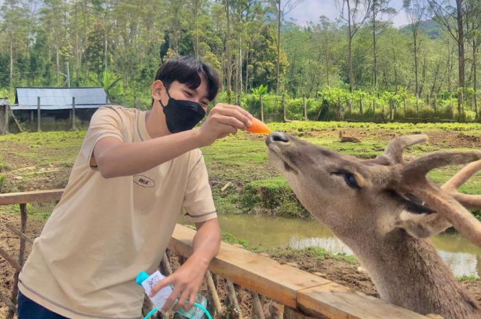<p>Ket foto: Yuk intip keseruan wisata Ranca Upas Bandung, bisa beri makan rusa secara langsung! (Foto/Instagram/feryris_)</p>
