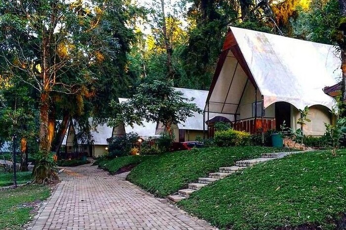 <p>Ket Foto: Ilustrasi foto keindahan Mojosemi Forest Park Magetan (Foto/Instagram/@mojosemiforestpark)</p>
