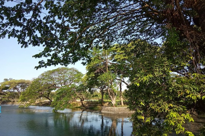 <p>Ket Foto: Ilustrasi foto pesona Danau Ronggojalu Probolinggo (Foto/Instagram/@mlokamlakuchannel)</p>