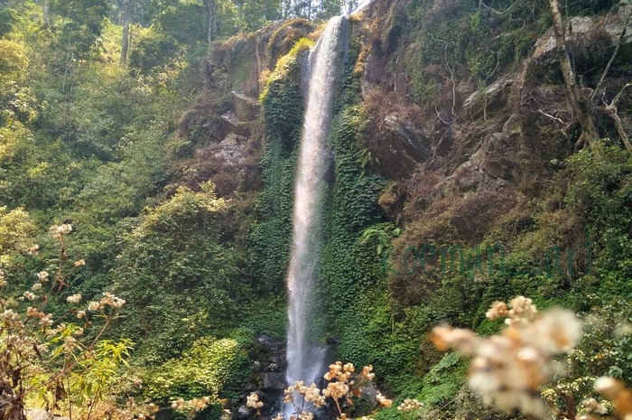 <p>Ket Foto: Ilustrasi foto pesona Air Terjun Darungan Probolinggo (Foto/Instagram/@pitrajayaerlangga)</p>
