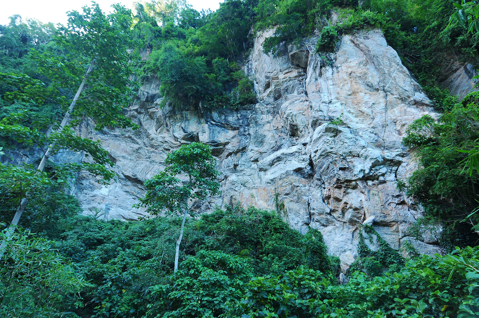 <p>Spot Wisata Tebing Likunggavali Parigi Moutong (GemasulawesiFoto/Disporapar Parigi Moutong)</p>
