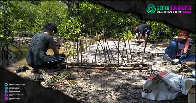 <p>Sejumlah orang menanam mangrove (Ilustrasi Gambar)</p>
