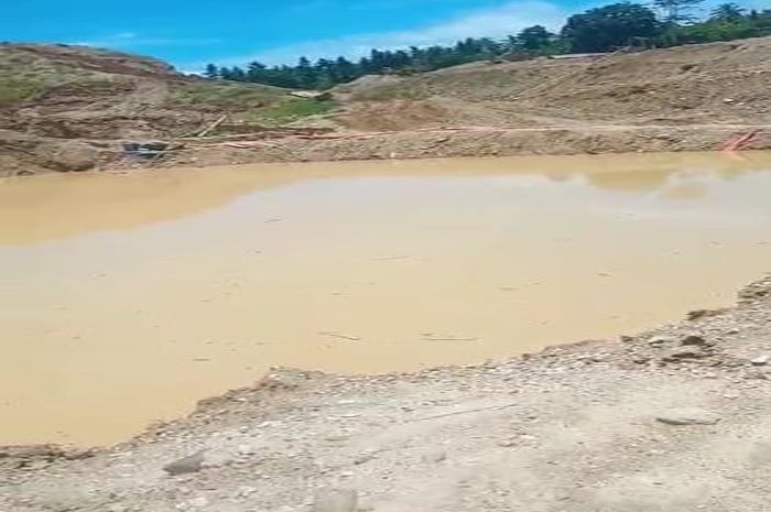 <p>Klik Video: Kubangan di Tambang Emas Ilegal Desa Kayuboko Kabupaten Parigi Moutong, Sulawesi Tengah, GemasulawesiPodcast)</p>
