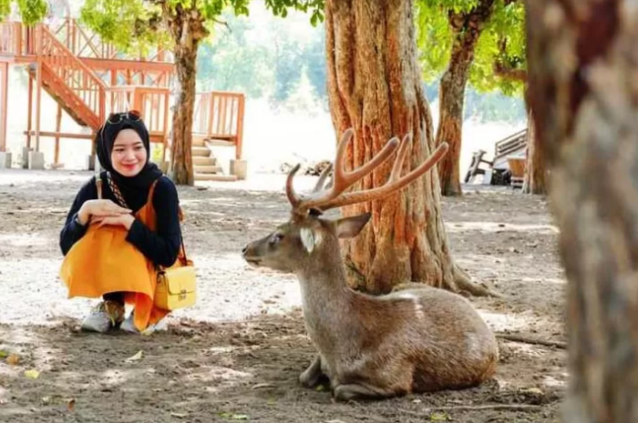 <p>Ket Foto: Ilustrasi foto pesona Kesambi Tree’s Park (Foto/Instagram/@cece_ikars)</p>
