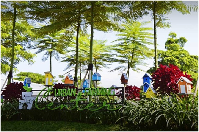 <p>Ket Foto: Pesona Urban Farming Center Purwakarta (Foto/Instagram/@urbanfarmpwk)	</p>
