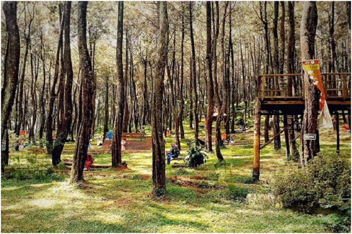 <p>Ket Foto: Pesona Pasir Langlang Purwakarta (Foto/Instagram/@pasirlanglangpanyawangan14)	</p>
