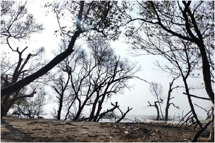 <p>Ket Foto: Pesona Pantai Cirewang Subang (Foto/Instagram/@kapandolan_lur)	</p>
