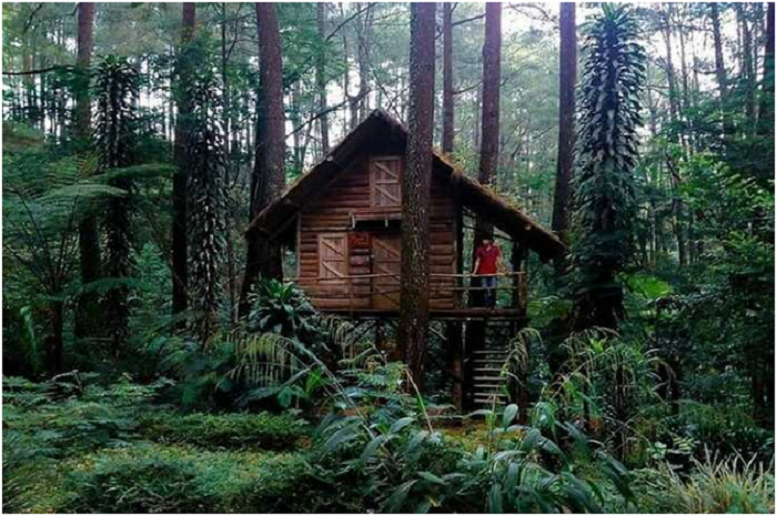 <p>Ket Foto: Pesona Taman Buru Gunung Masigit Kareumbi (Foto/Instagram/@genpi.bdgraya)	</p>