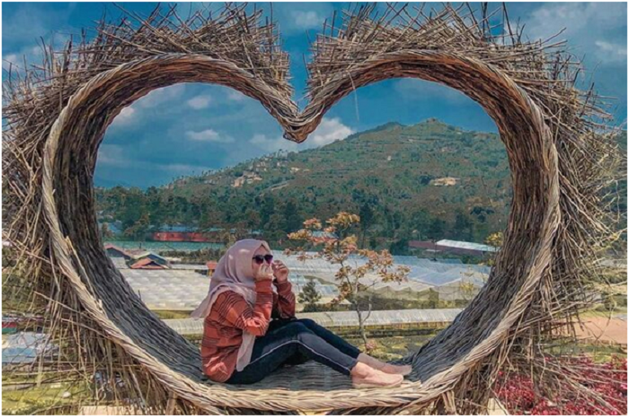 <p>Ket Foto: Pesona Kutabawa Flower Garden Purbalingga (Foto/Instagram/@monitatitik)	</p>
